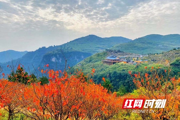 微信图片_20191124200358.jpg
