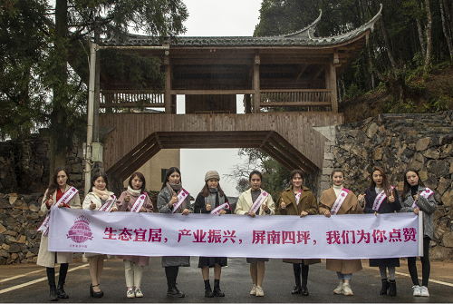 图片1.png