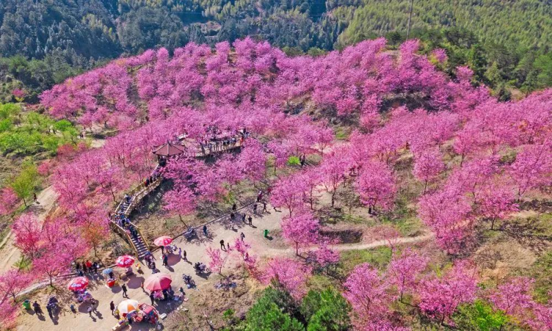 仙居山?；?png