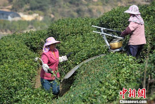 探访福建首家台企观光工厂：开启“旅游+工业”新模式